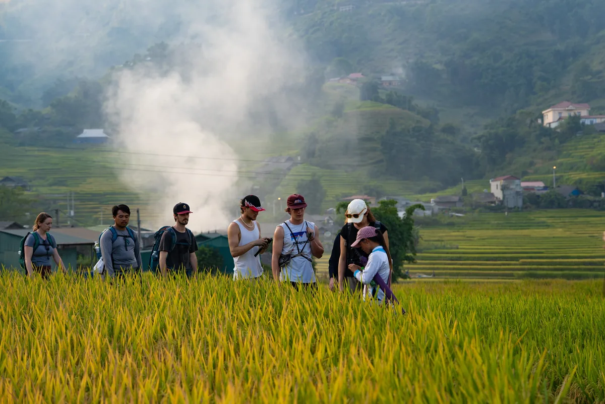 Trekkers pause beside golden rice terraces in the misty hills of Lao Cai province