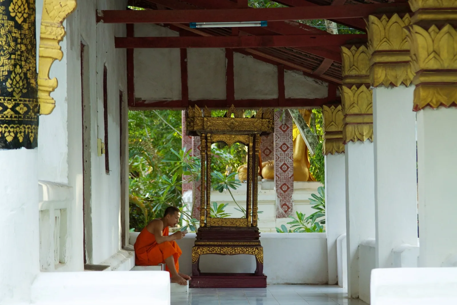 A young monk in orange robes sits reading beside a gilded shrine in a temple gallery in Luang Prabang.