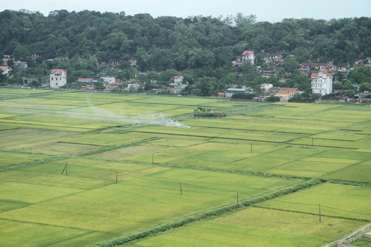 Patchwork of green rice paddies stretches toward a village nestled at the base of a forested hill near Hanoi.