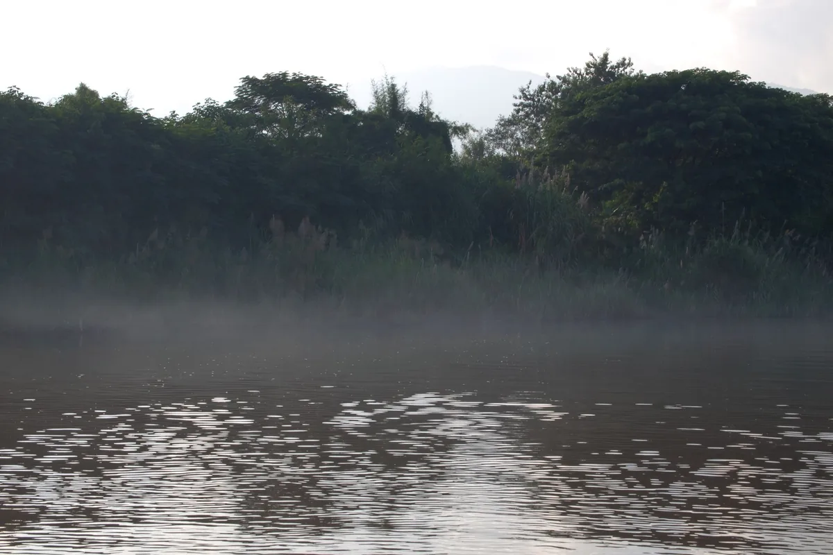 Morning mist rises over the calm Ping River lined with dense trees north of Chiang Mai, Thailand.
