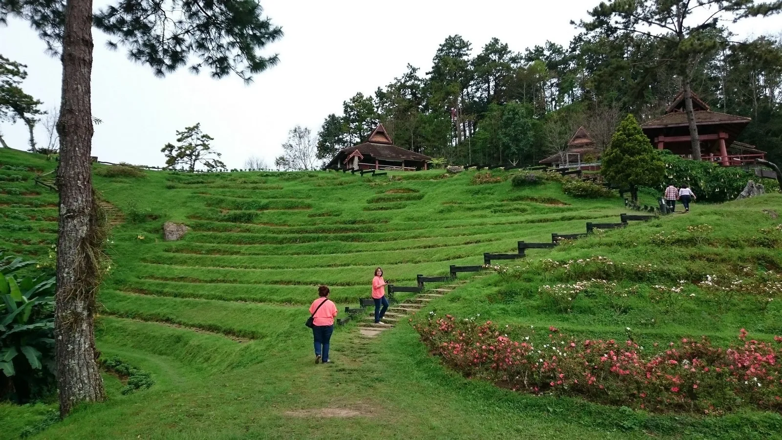 Visitors walk up grassy terraced steps toward wooden pavilions on a hillside near Chiang Mai, Thailand.